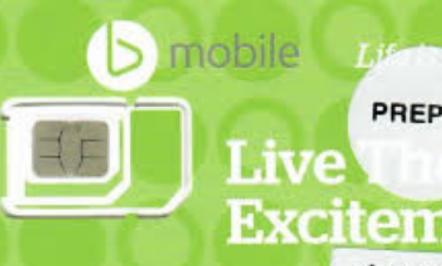 B Mobile Sim Card Japan